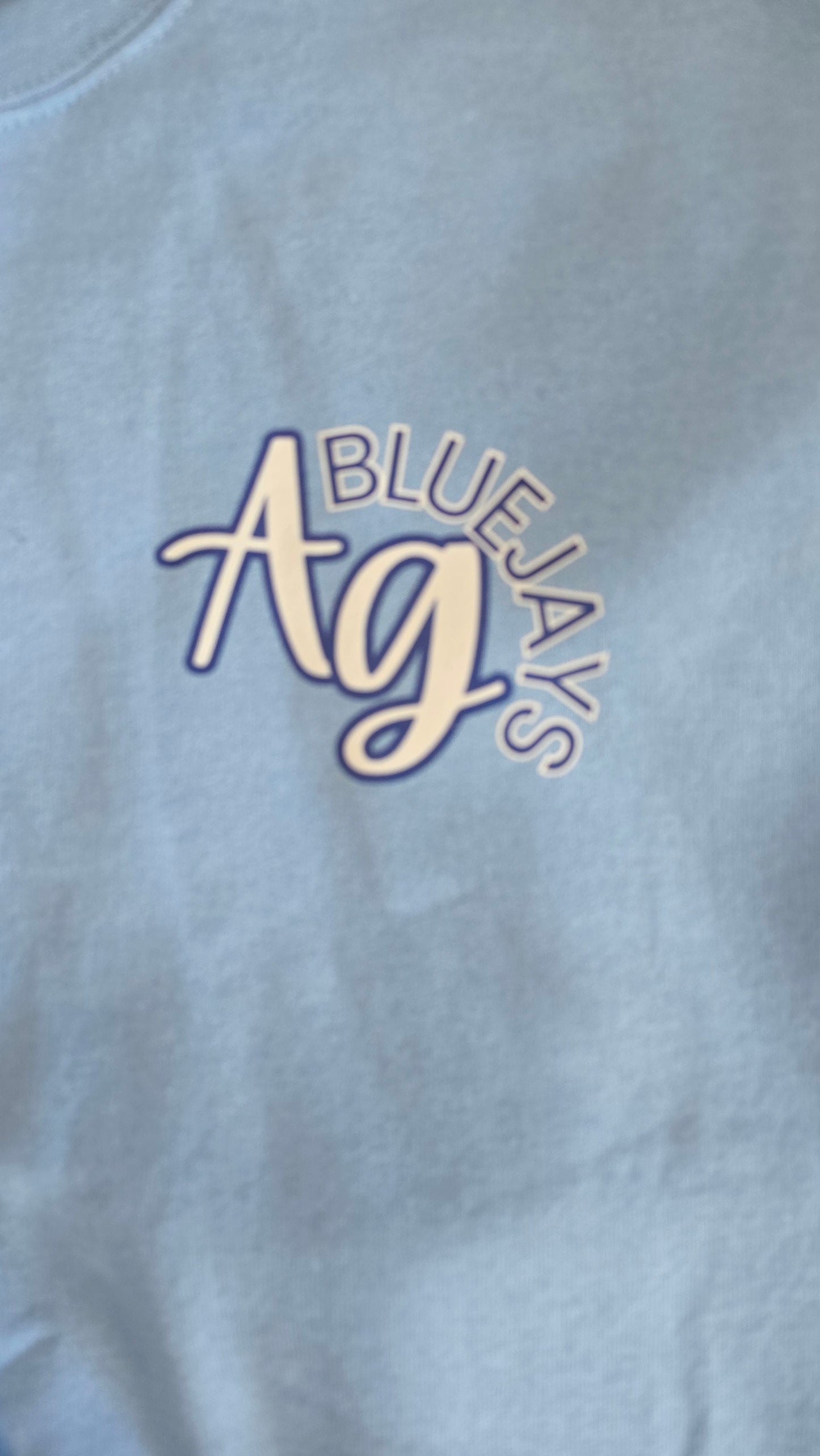 Light Blue AG Crewneck