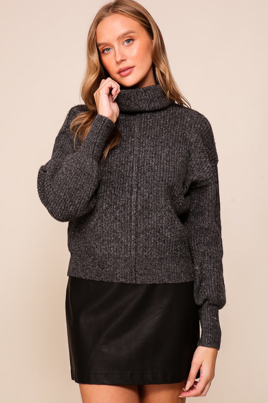 Cozy Turtle Neck Sweater